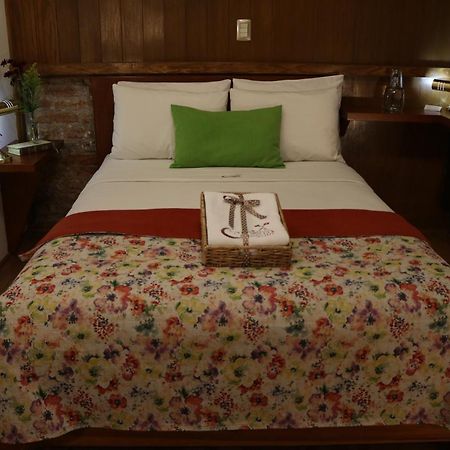 Chalet Del Carmen, Coyoacan مدينة مكسيكو المظهر الخارجي الصورة