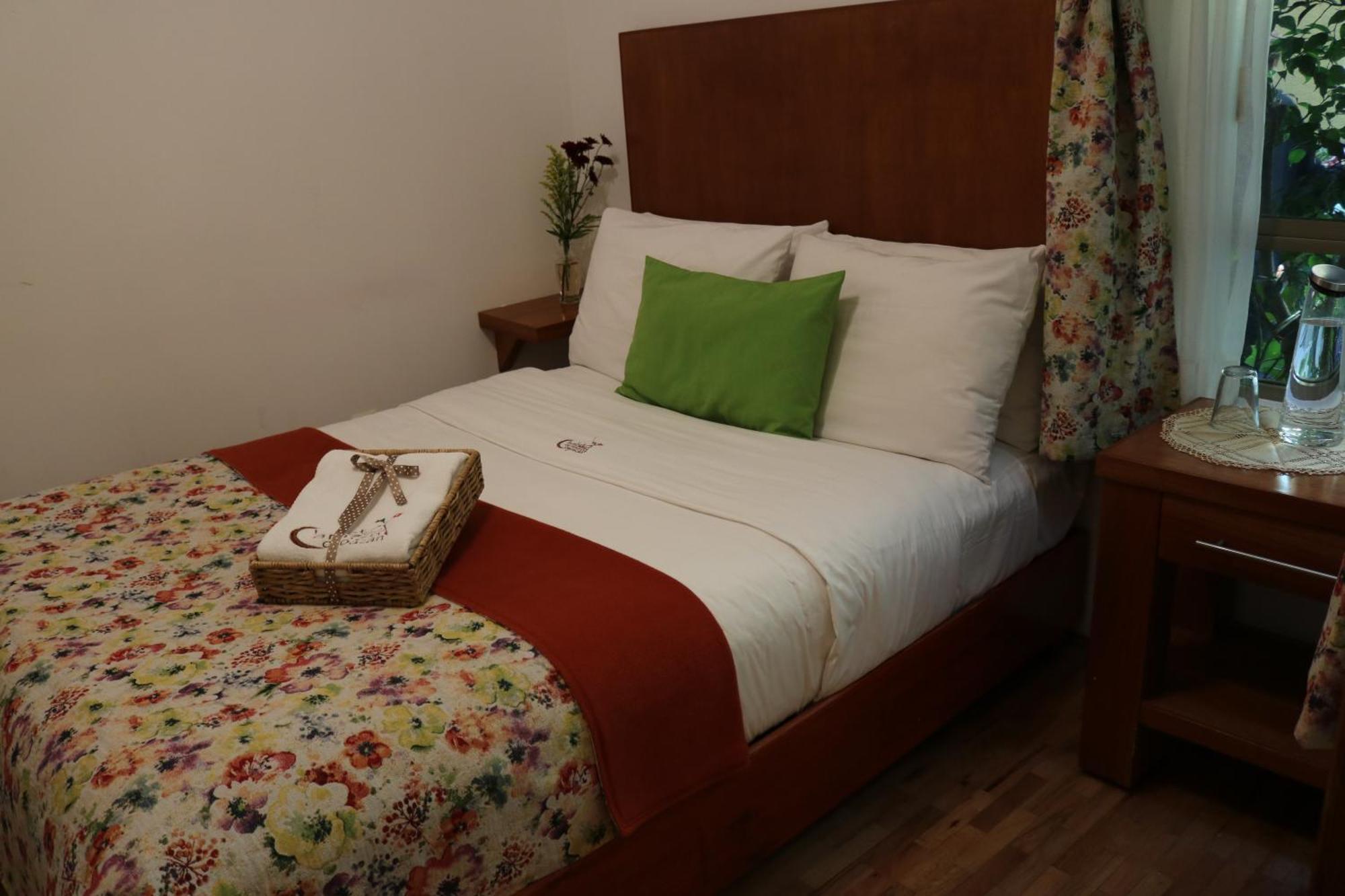 Chalet Del Carmen, Coyoacan مدينة مكسيكو المظهر الخارجي الصورة