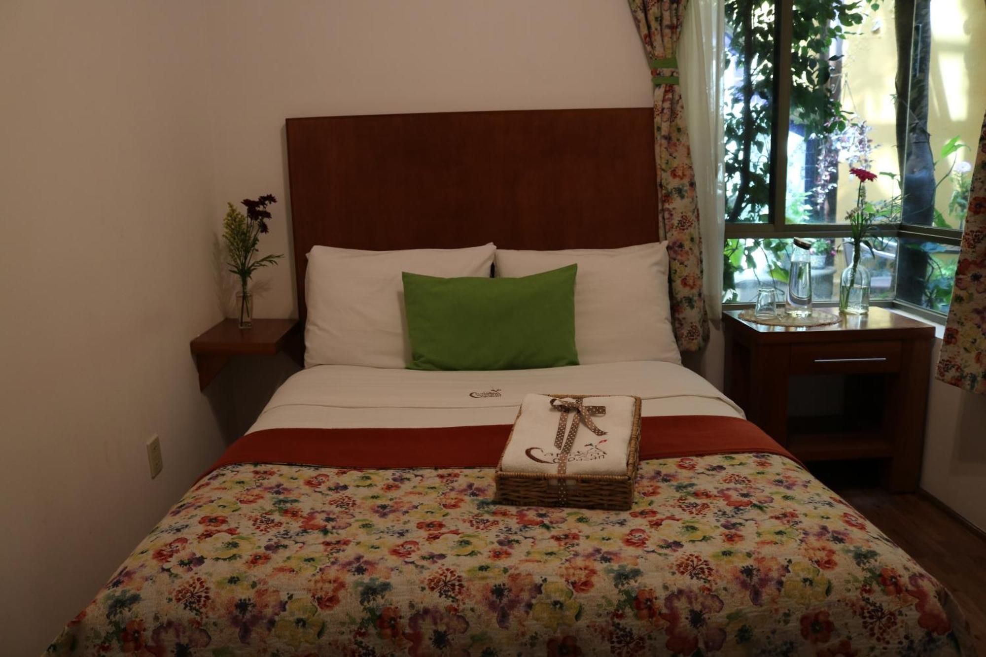 Chalet Del Carmen, Coyoacan مدينة مكسيكو المظهر الخارجي الصورة