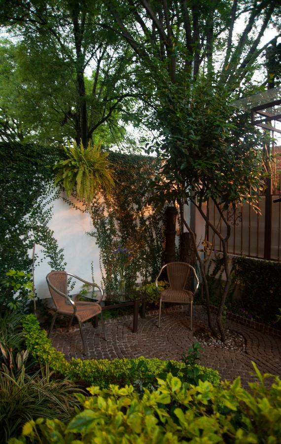 Chalet Del Carmen, Coyoacan مدينة مكسيكو المظهر الخارجي الصورة